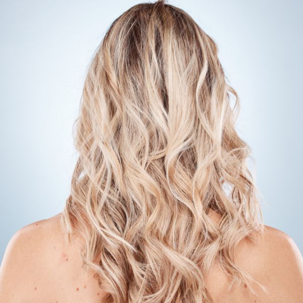 Balayage Coloring by Peopleimages.com - YuriArcurs Young women posed in head & shoulder rear view with beautiful long Balayage color hair.