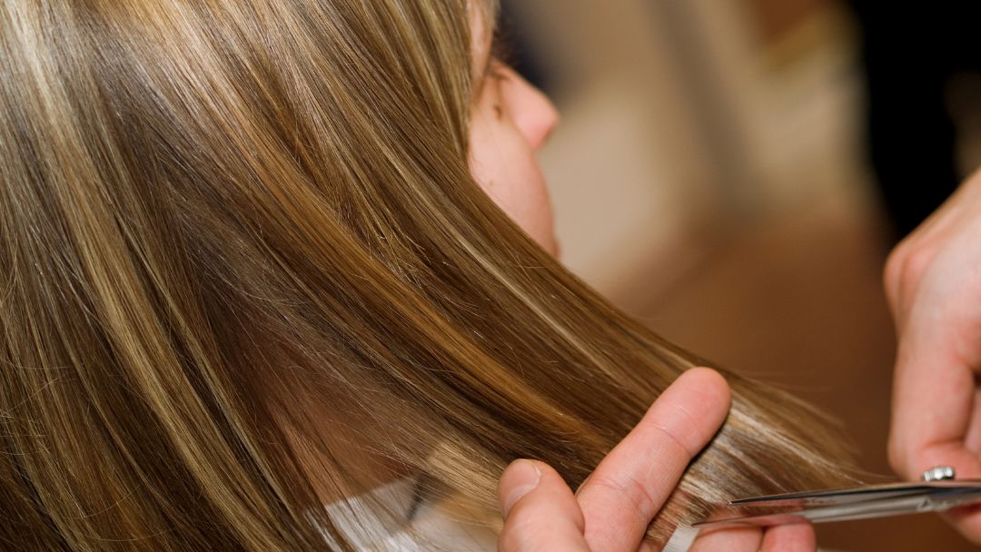 Hair Cutting Techniques by ivanmateev from Getty Images Signature Women in salon chair rearview of head as stylists uses haircutting technique