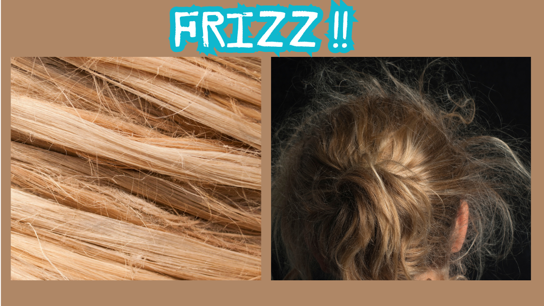 Graphic title "Frizz" with two panels; on the left a close up image of golden blond hair with frizz, the second the rear view of a a women's head with a ponytail and massive frizzes