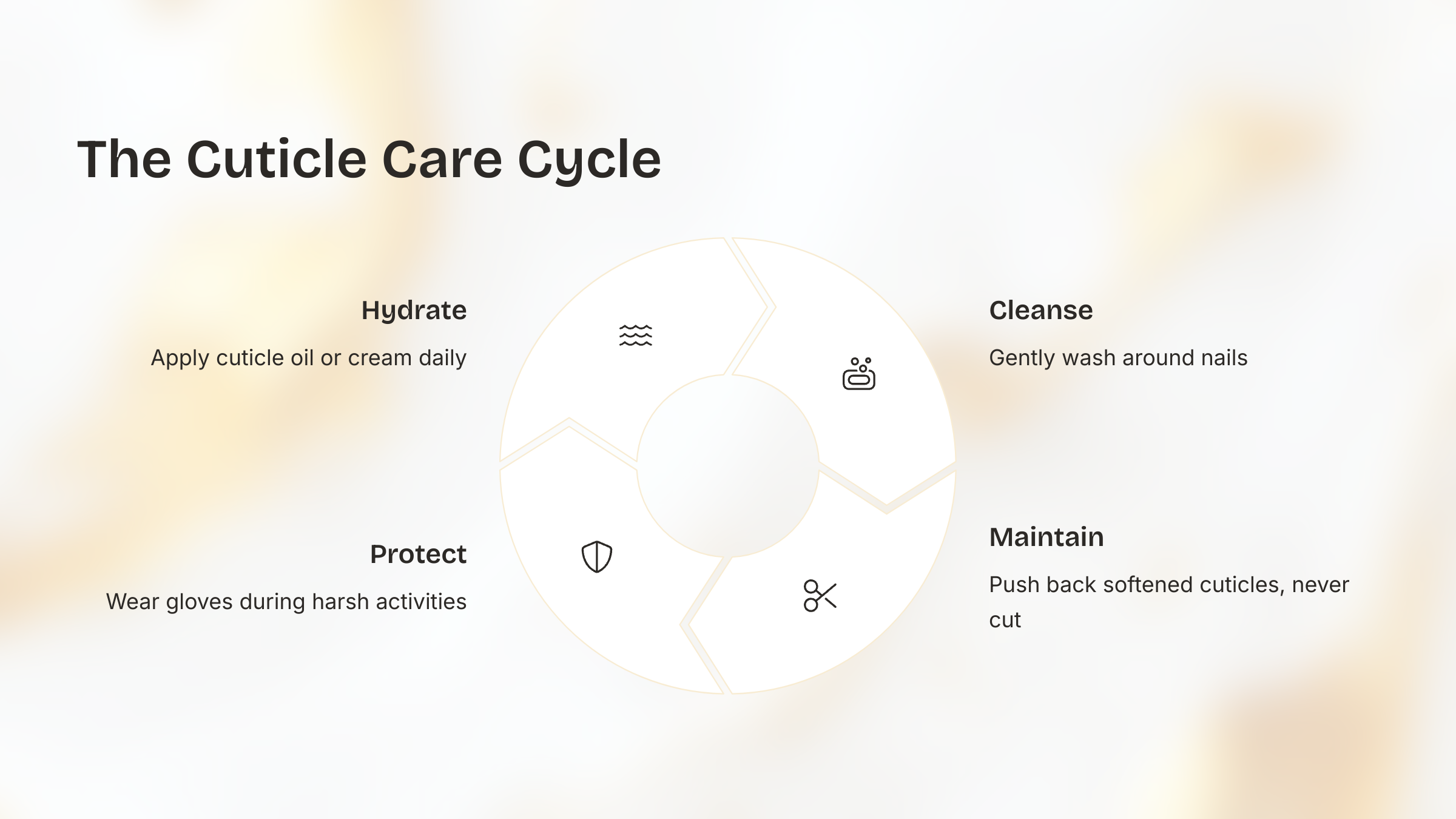 The-Cuticle-Care-Cycle Graphic Listing Cuticle Care Cycle for nail health; hydrate, protect, cleanse & maintain