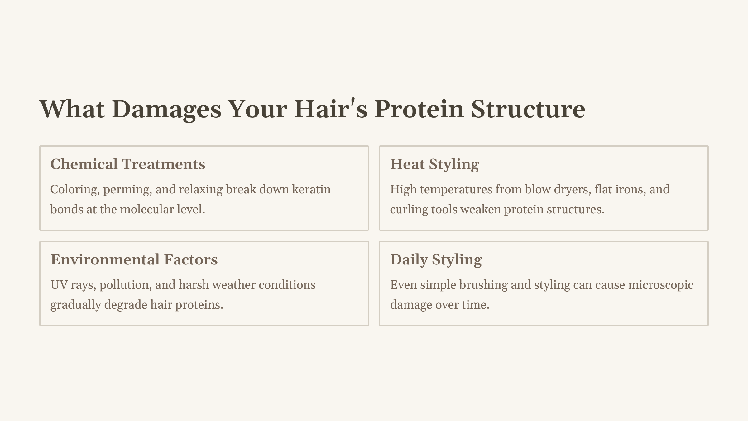 Graphic with beige background titled, "What Damages Your Hair's Protein Structure?, with 4 Info boxes describing; Chemical treatments, Heat styling, Environmental factors , and Daily styling. All factors requiring deep condition treatments.
