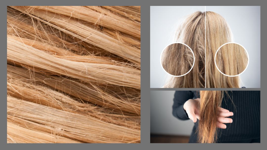 raphic dry hair up-close, before and after treatment, and long hair with damage