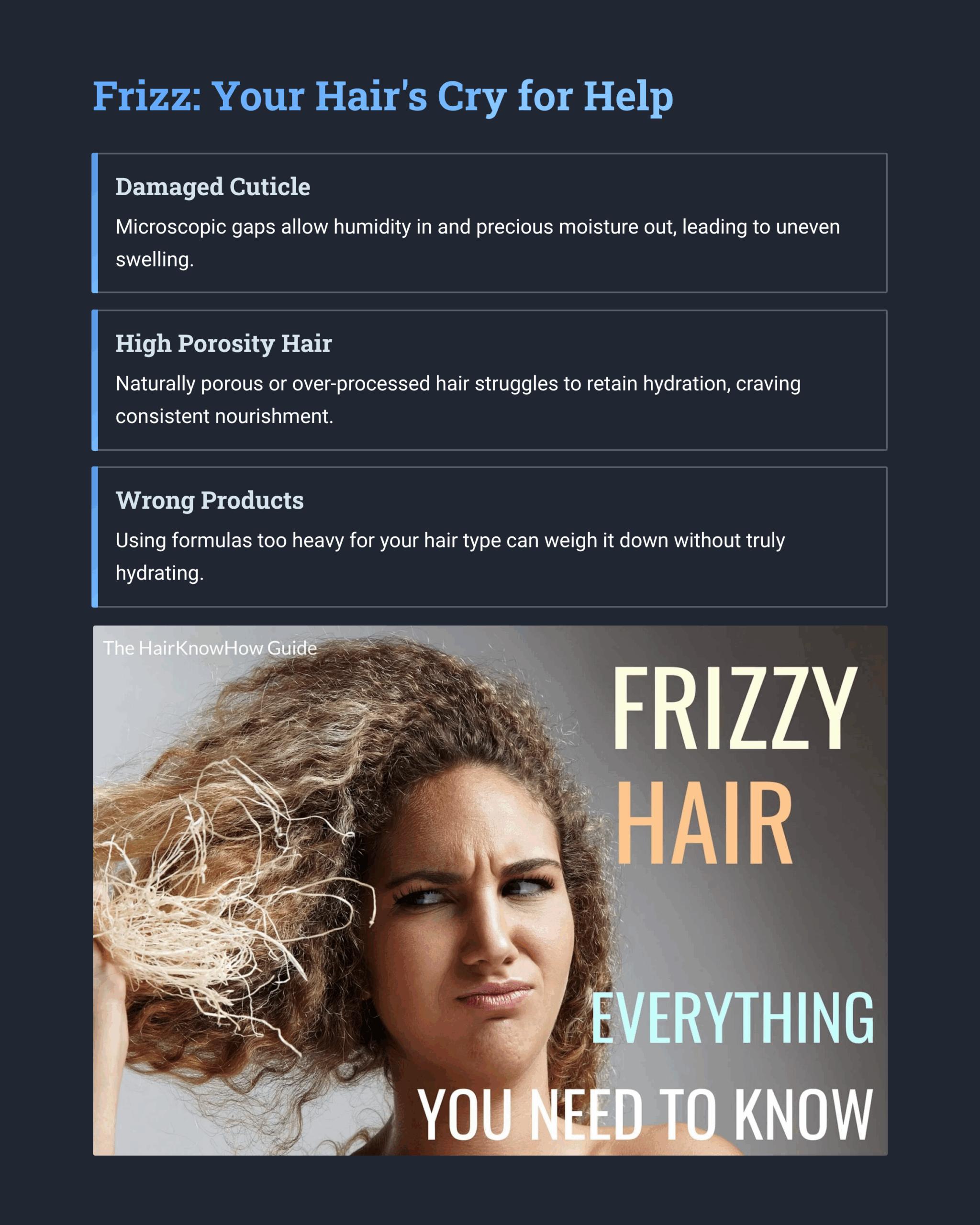 Graphic "Frizz Your Hair's Cry for Help", 3 indicators; Damaged Cuticle, High Porosity Hair, Wrong Products.