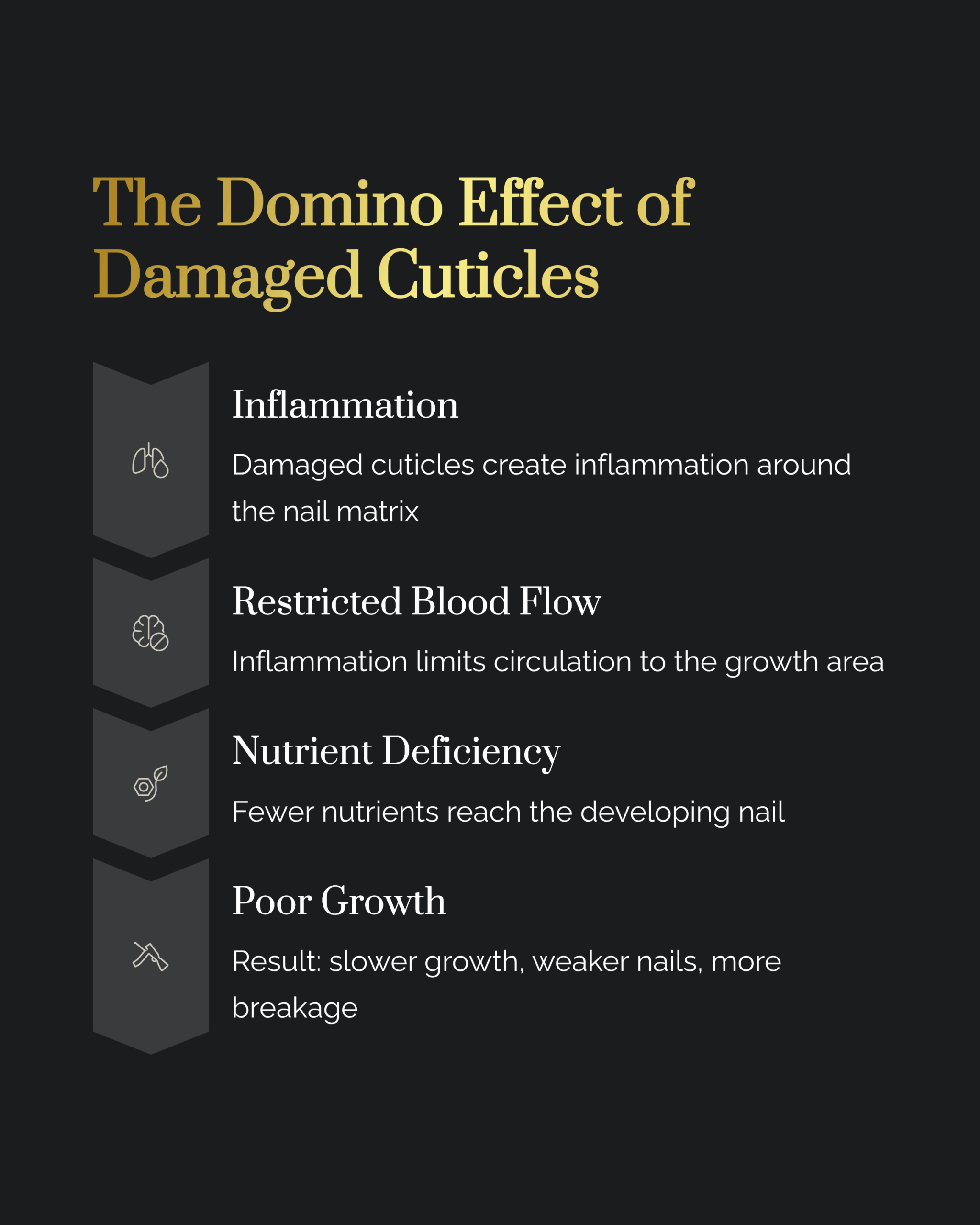 Graphic, "The Dominos Effect of Damaged Nails". Describing Inflammation, Blood flow, Nutrient Deficiency and Poor Growth.