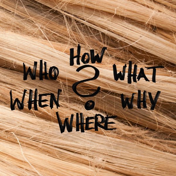 Close up image of frizzy blonde hair with title Who, How, When, What