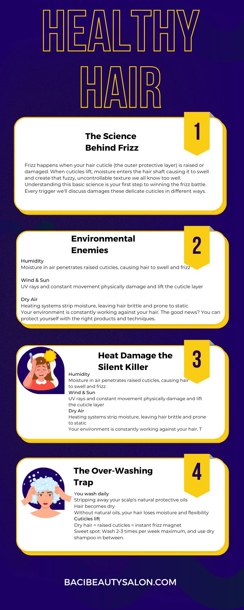 Inforgraphic showing Frizzy hair issues; environmental issues, heat damage andover washing with descriptions